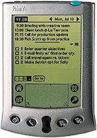 Palm VX